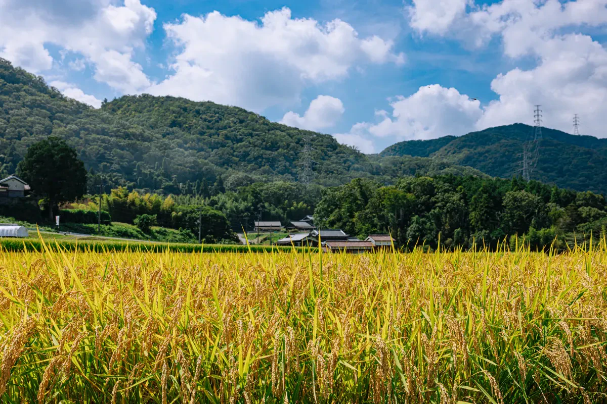 経済観光局西農業振興センターの写真