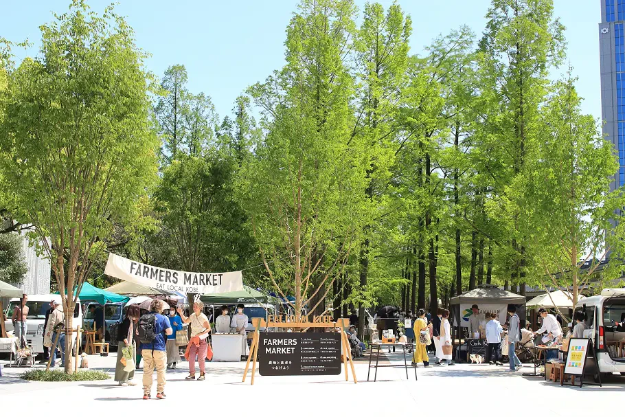 農漁業者と消費者の交流の場として開催したファーマーズマーケット