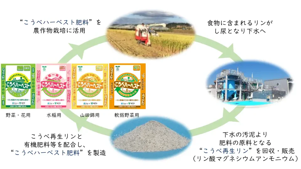 資源循環（再生リン）